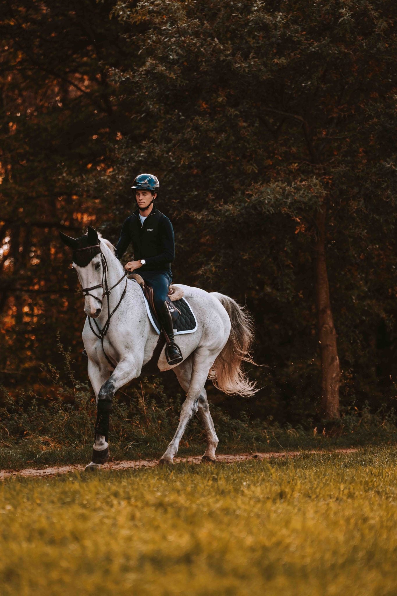 🇧🇪 Thibeau Spits