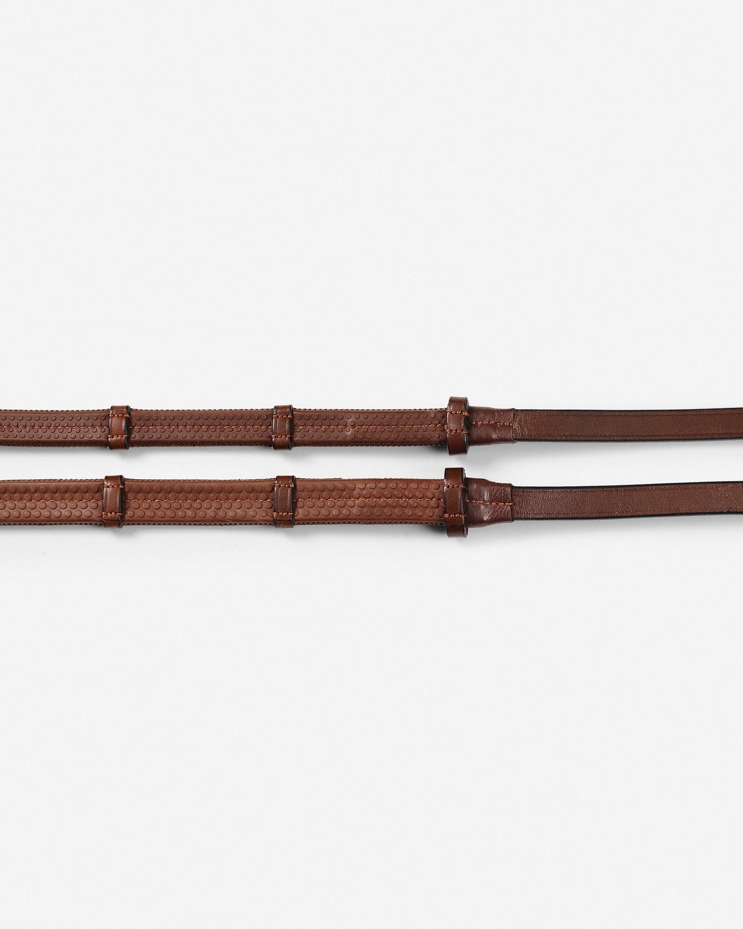 REINS