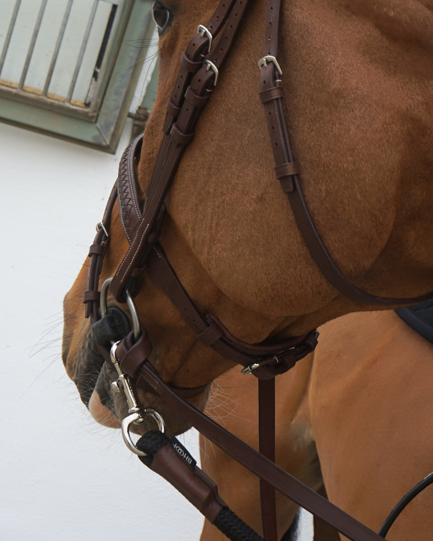 BHOOF LEAD ROPE - TRAINING