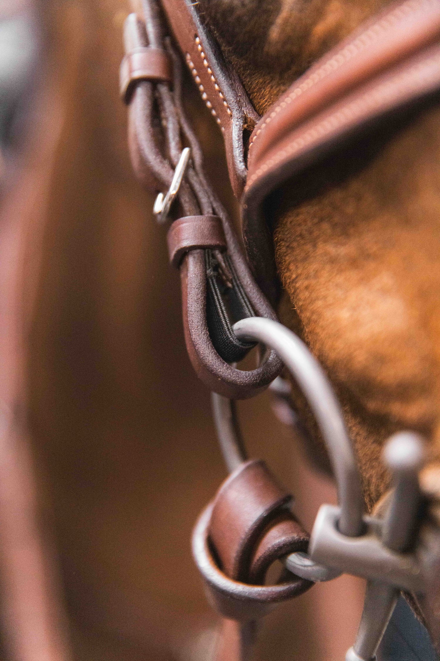 BHOOF BRIDLE 2 - FLASH