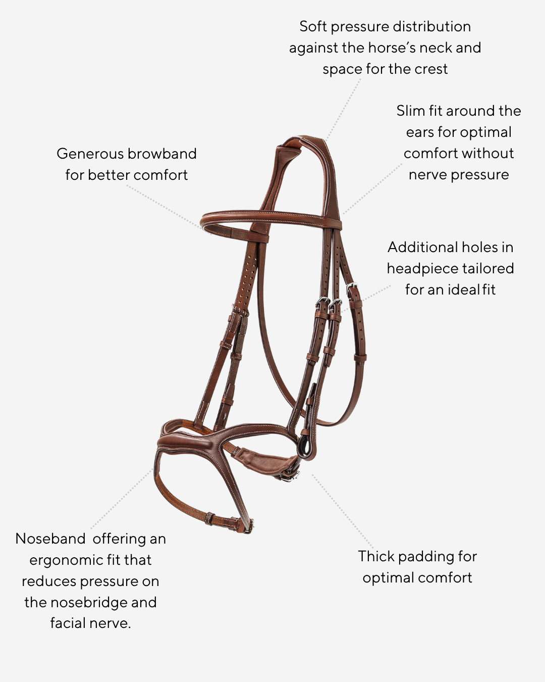 BHOOF BRIDLE 2 - Y FIT