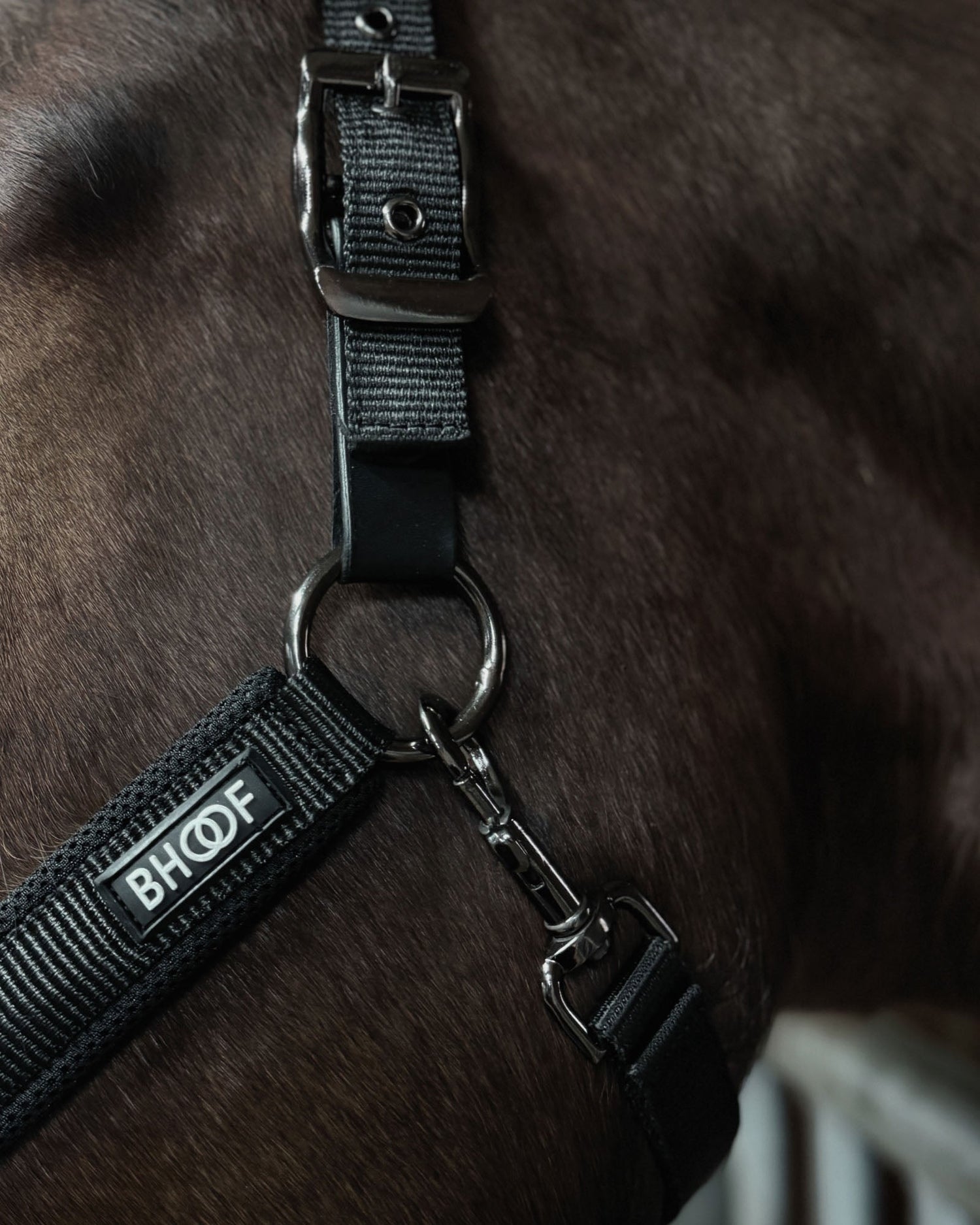 BHOOF HALTER 2 – MESH WITH LEAD ROPE