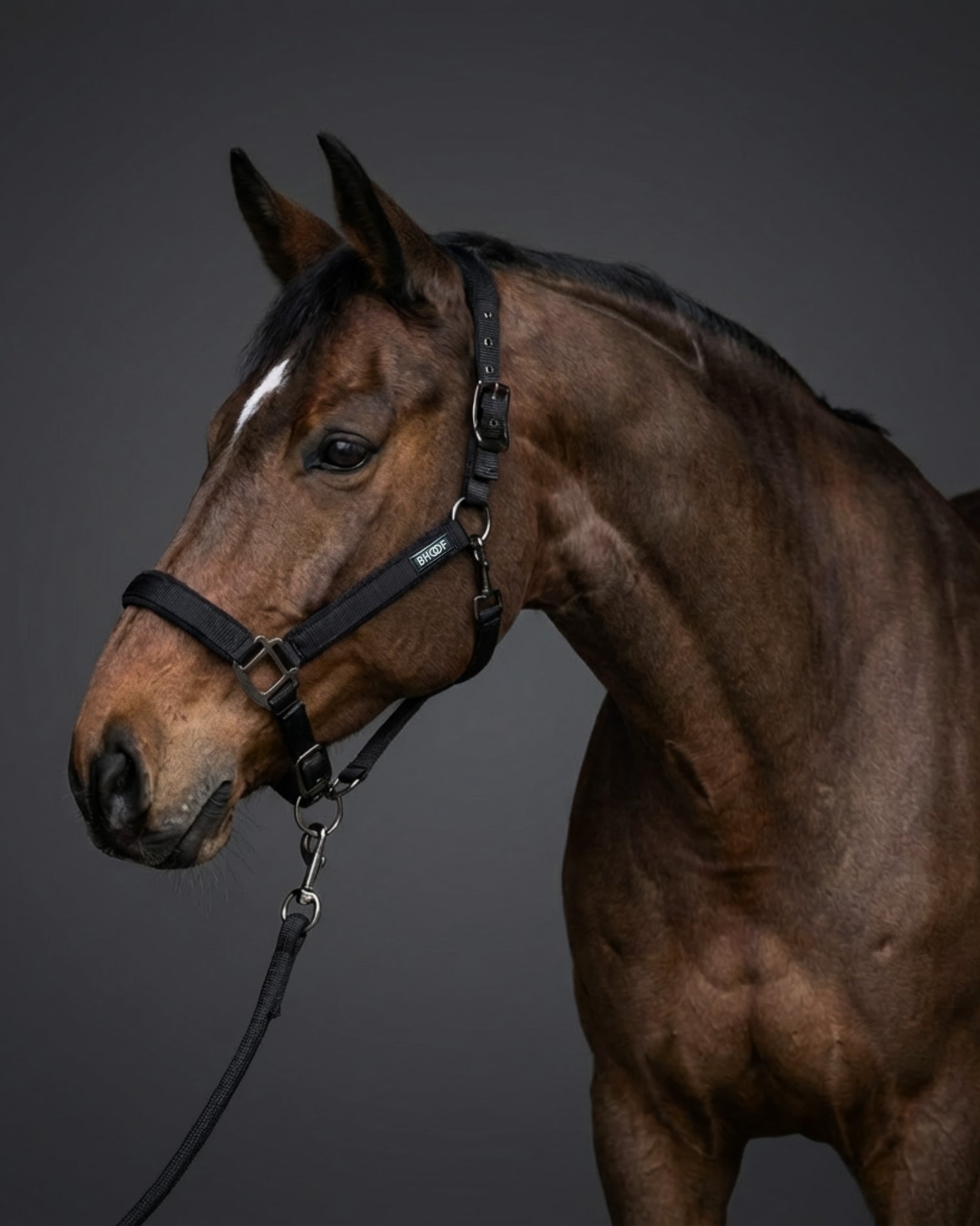 BHOOF HALTER 2 – MESH WITH LEAD ROPE