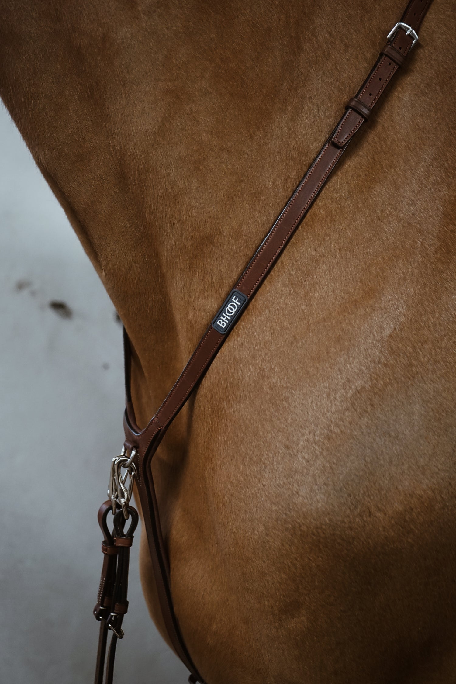 BHOOF MARTINGALE - ELASTIC