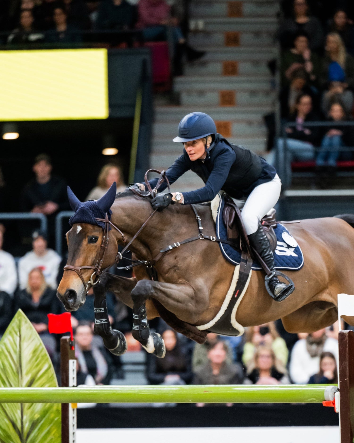 BHOOF SAFETY VEST 1 - BLACK