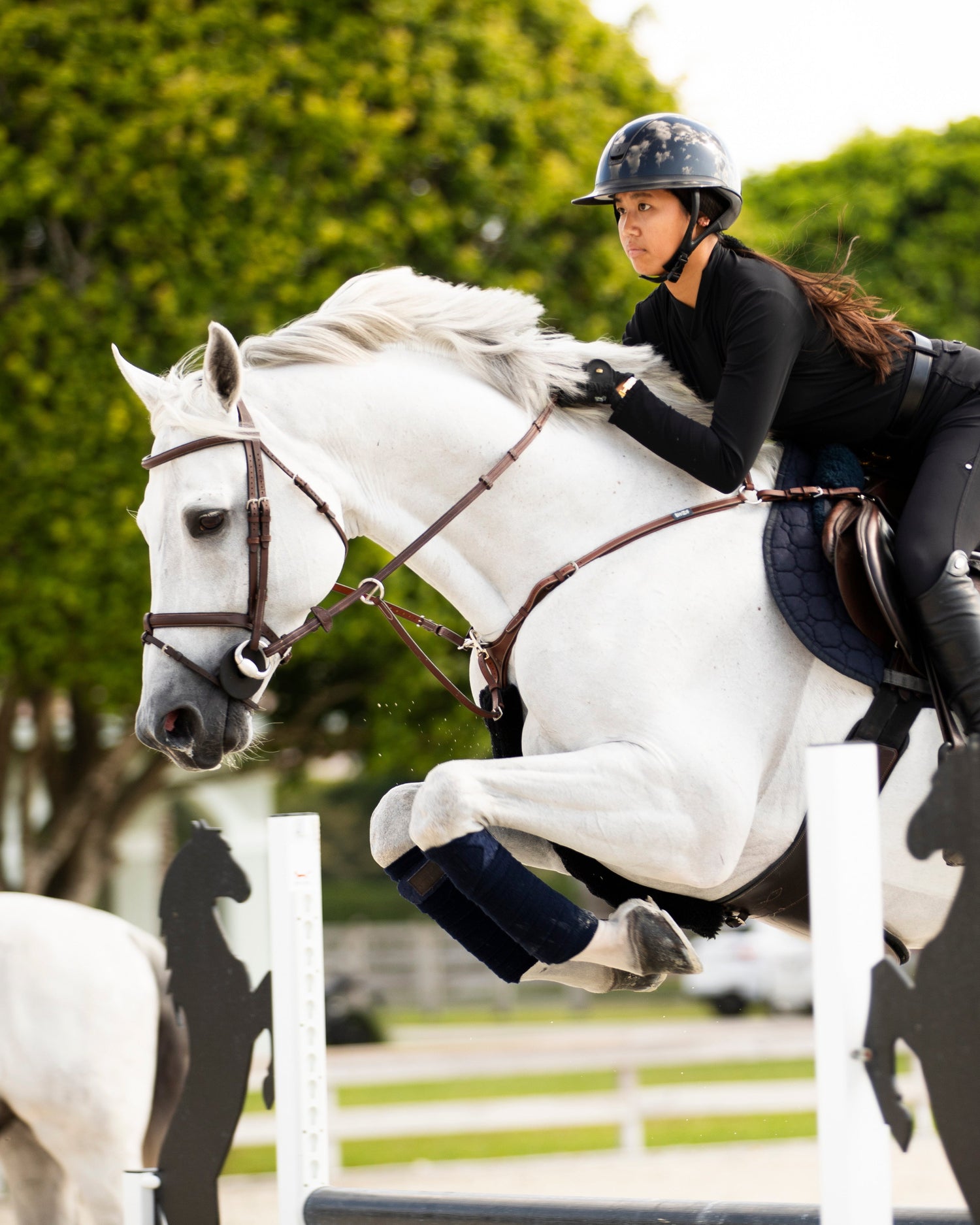 Person riding a white horse in an equestrian setting with greenery in the background