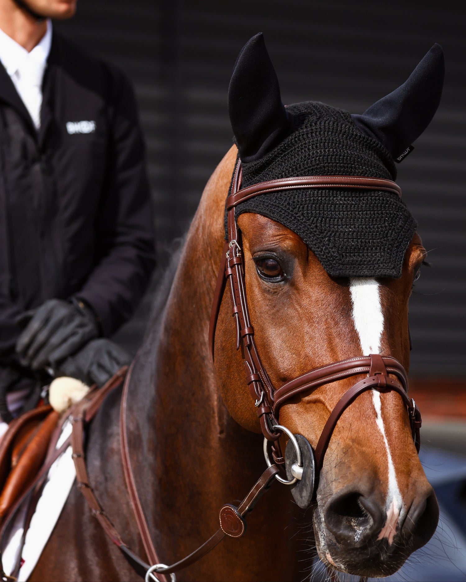 Horse wearing a black fly mask with a rider in the background