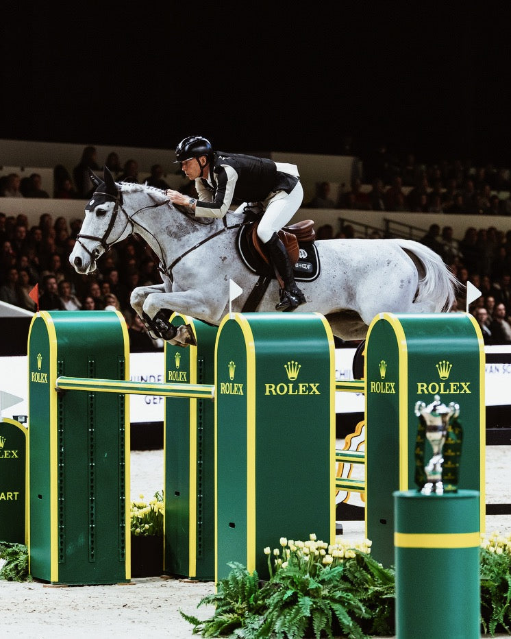 Bhoof Concept 1 horse breastplate and rein set with high-position design and flexible rubber reins for secure, comfortable riding