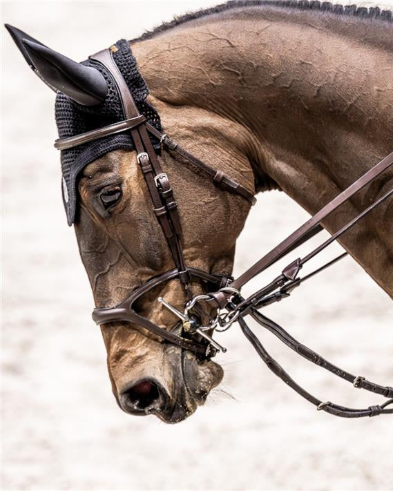 Safety Reins – Soft & Shock-Absorbing | BHOOF Safety Reins