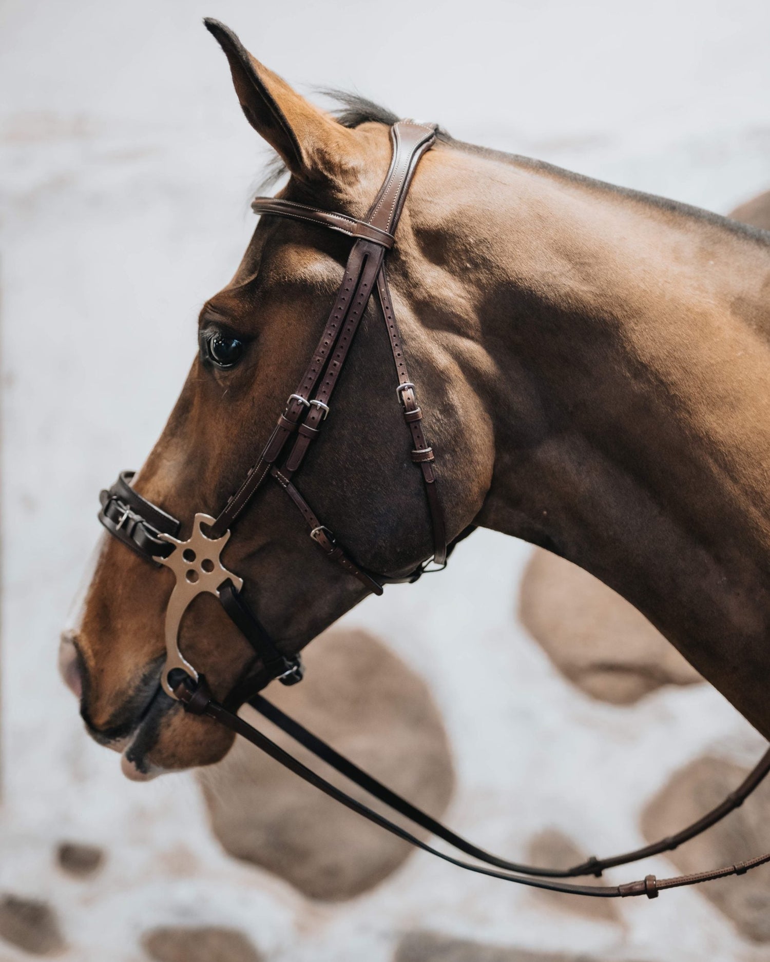 BHOOF HACKAMORE SIDOSTYCKE 1-TRÄNS- BHOOF Hackamore Sidostycke 1