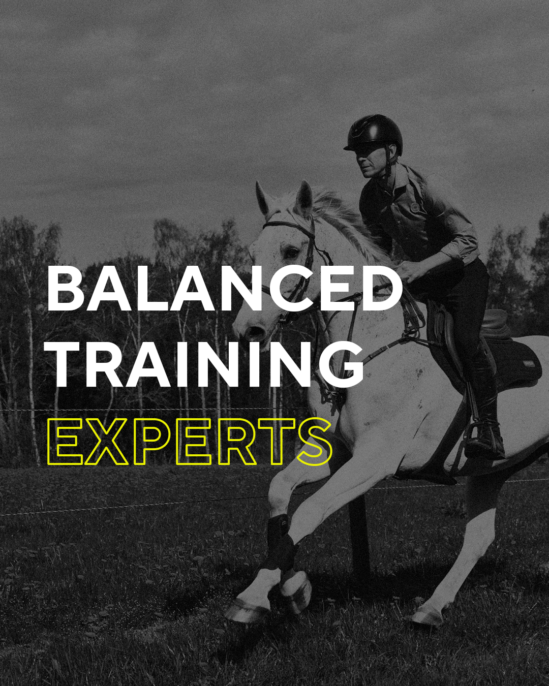 Conditioning training for horses, Bhoofment, [Bhoof]