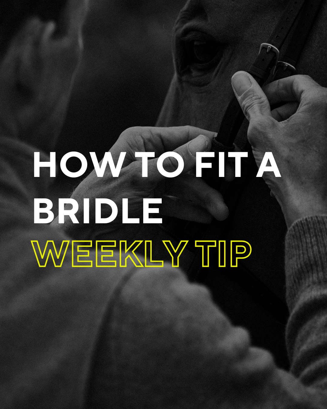 How to fit a bridle, Bhoofment, [Bhoof]