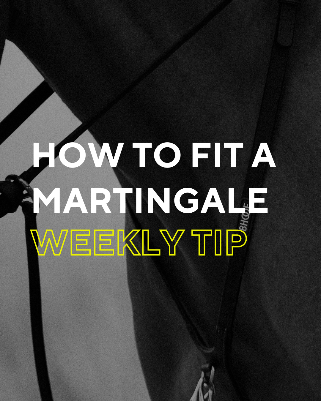 How to fit a martingale, Bhoofment, [Bhoof]