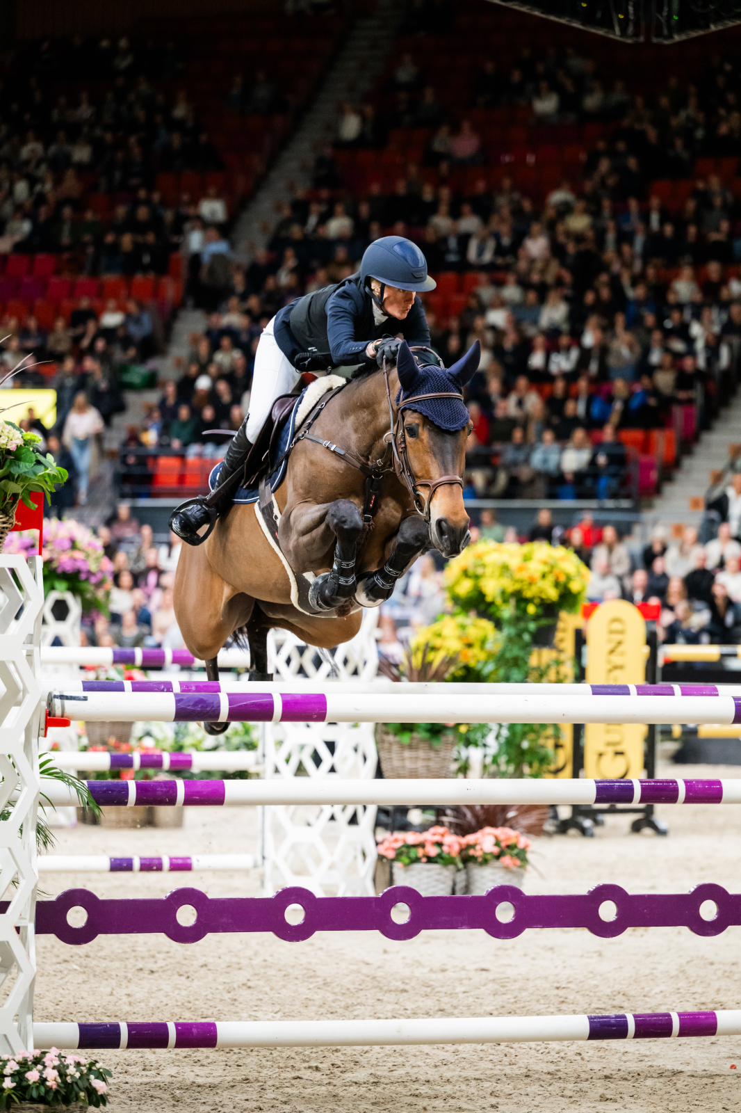 🇸🇪 Petronella Andersson