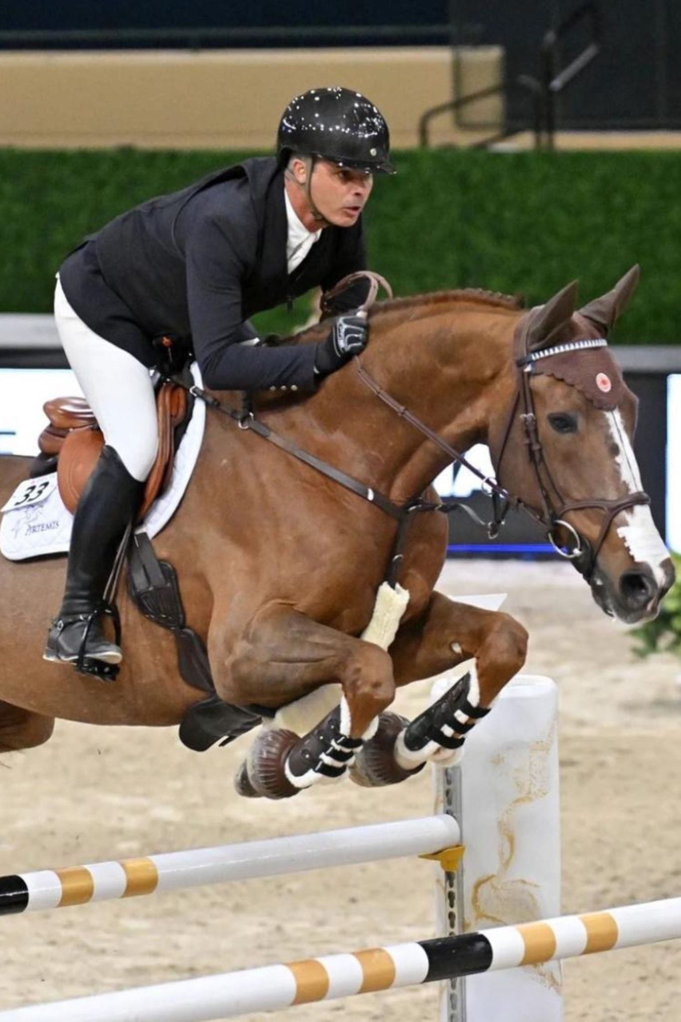 🇨🇬 Rodrigo Pessoa