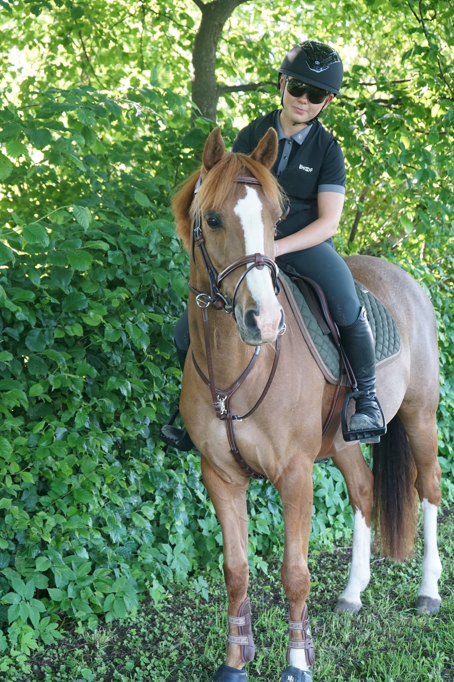 THE PONY COLLECTION - PREMIUM, I VARJE STORLEK