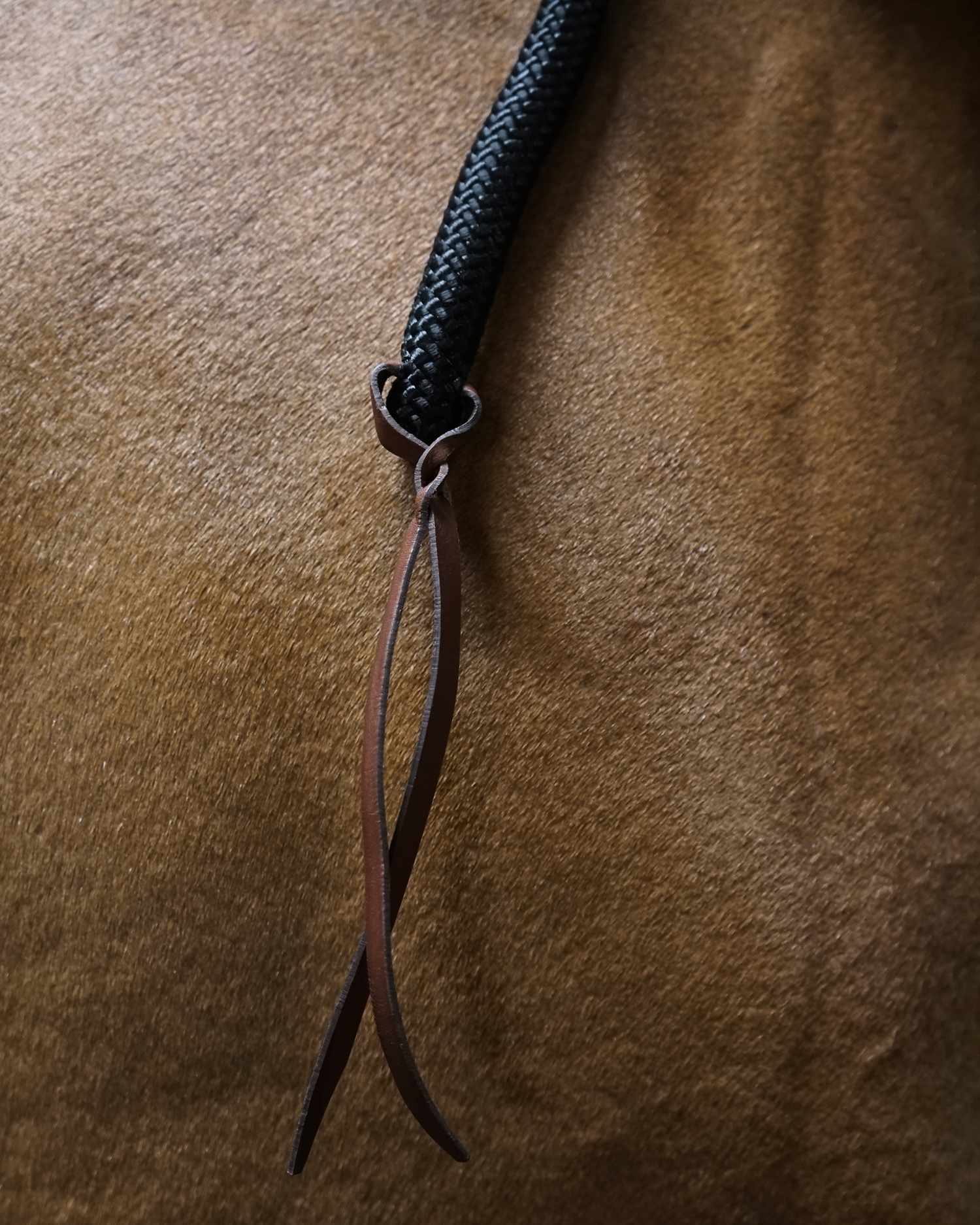 BHOOF LEAD ROPE - TRAINING