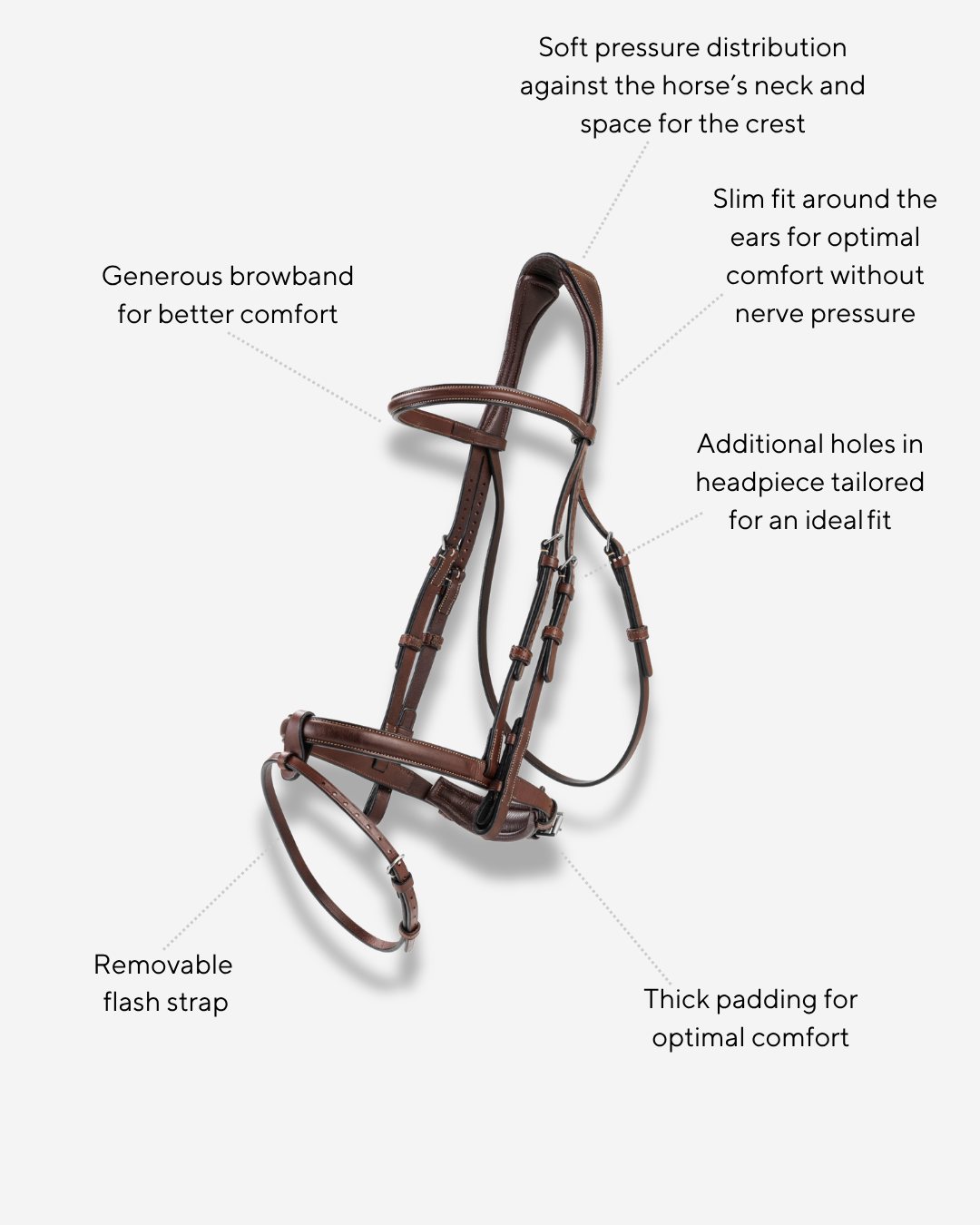 BHOOF BRIDLE 1 - FLASH