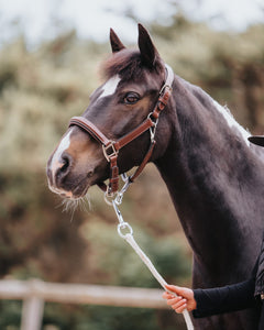 BHOOF HALTER 1-REINS AND PARTS- Lädergrimma Bhoof Halter 1 - Maximal Komfort