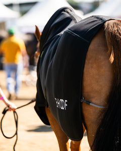 A close-up outdoor shot of a horse wearing a black turnout blanket with white 'SCHOF' branding, with a blurred fairground or market background and a person holding a lead rope on the left.