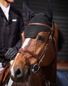 Person in equestrian attire with a horse wearing a black bridle and ear cover.