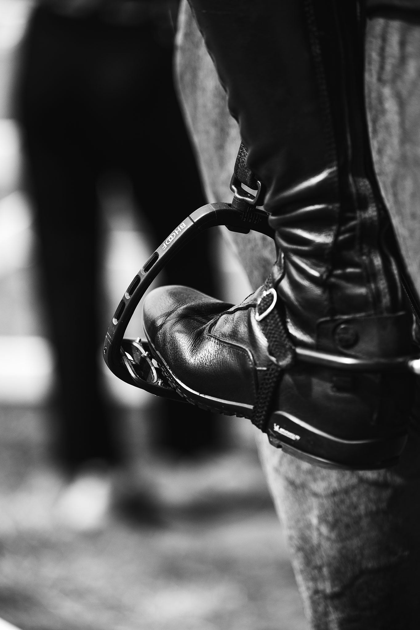 A close-up black and white photograph of a horse boot with a stirrup attached, worn on a horse leg in an outdoor setting.