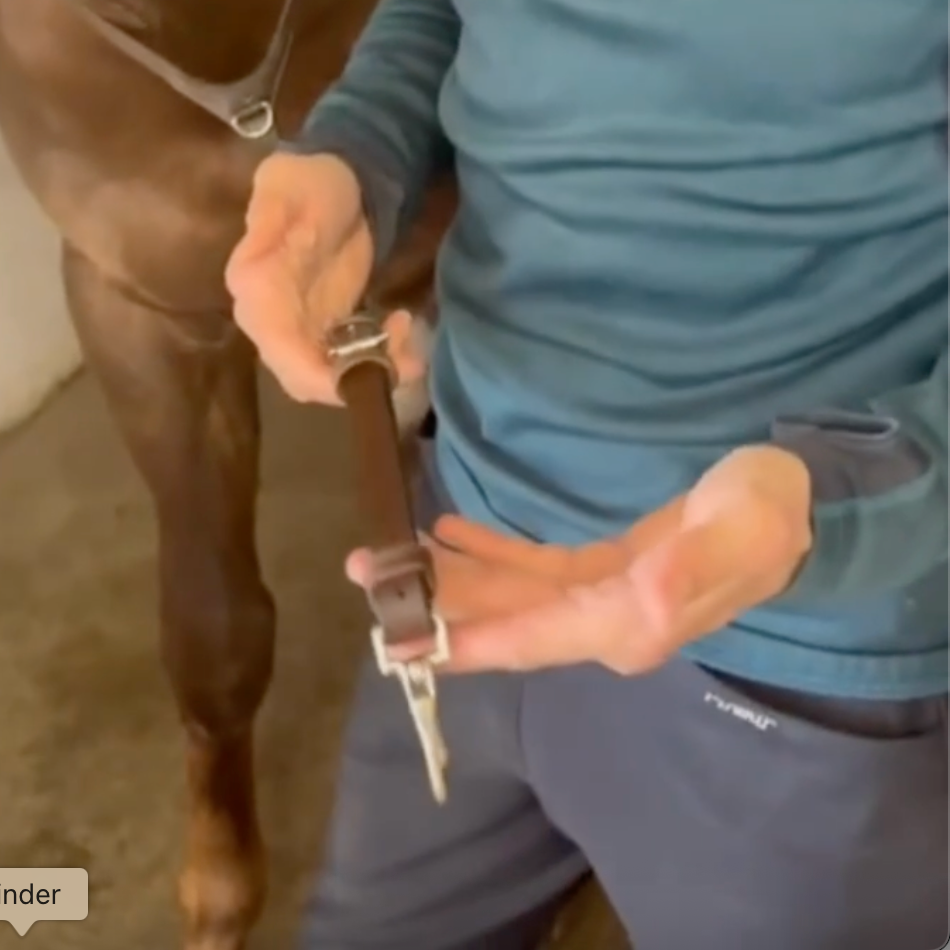 How to remove the buckle from your Bhoof Martingale or Bhoof Breastplate