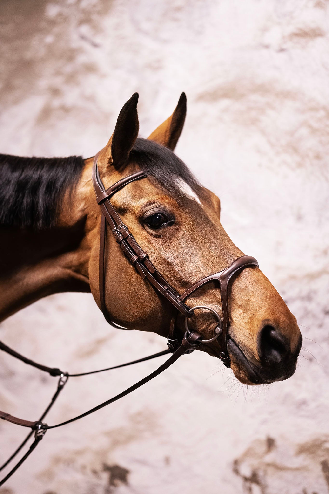 BHOOF SAFETY REIN 1-REINS AND PARTS- Bhoof Säkerhetstygel 1 - Säker, mjuk & flexibel