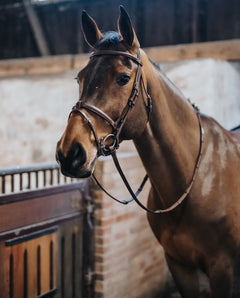 BHOOF BRIDLE 1-BRIDLES- BHOOF Träns 1