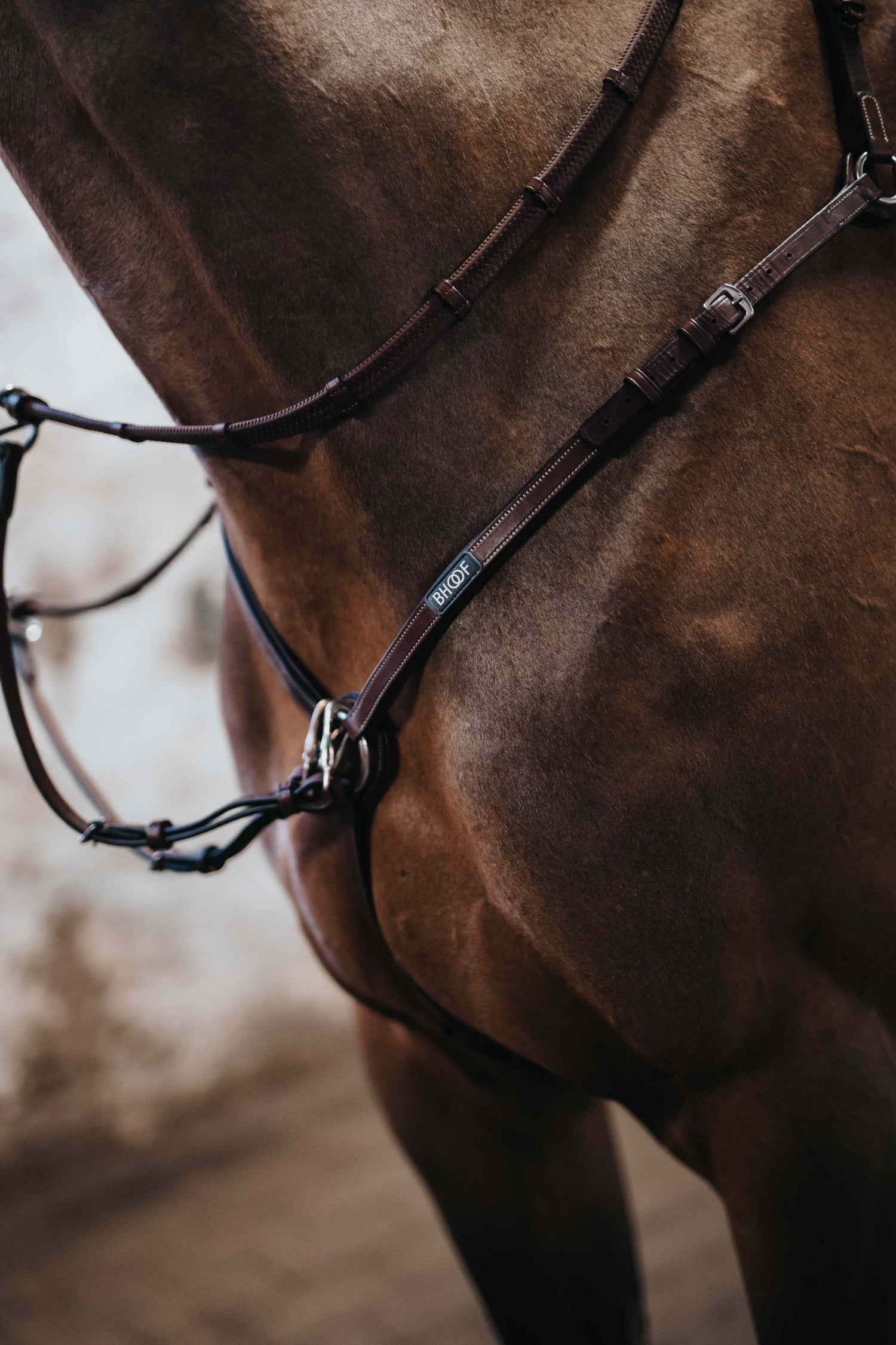 BHOOF BREASTPLATE 1-REINS AND PARTS- Bhoof Brösta 1 - Elastic & easy attachment