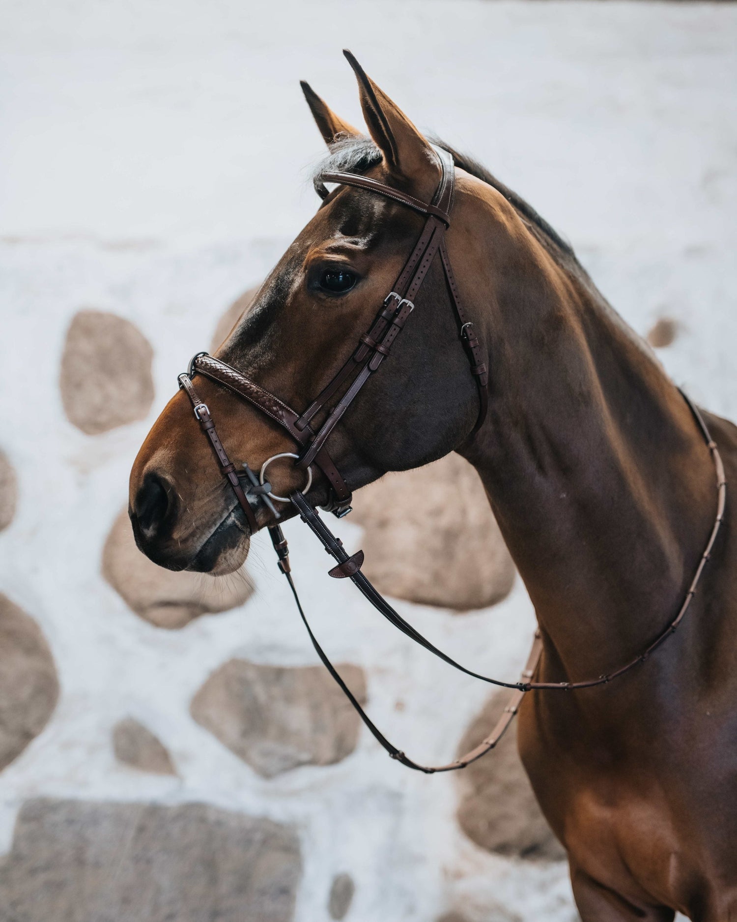 BHOOF SOFT GRIP REIN 1-REINS AND PARTS- Bhoof Lädergummitygel 1 - Kombinerar säkerhet med hållbarhet