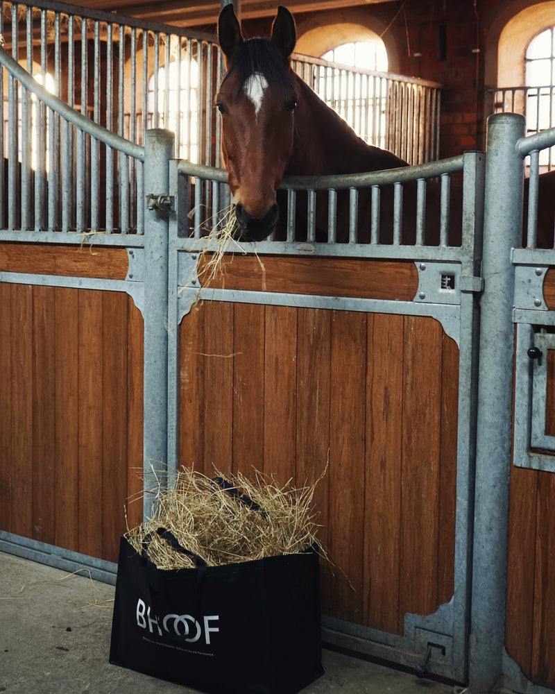 Brunmåla Veterinary Clinic