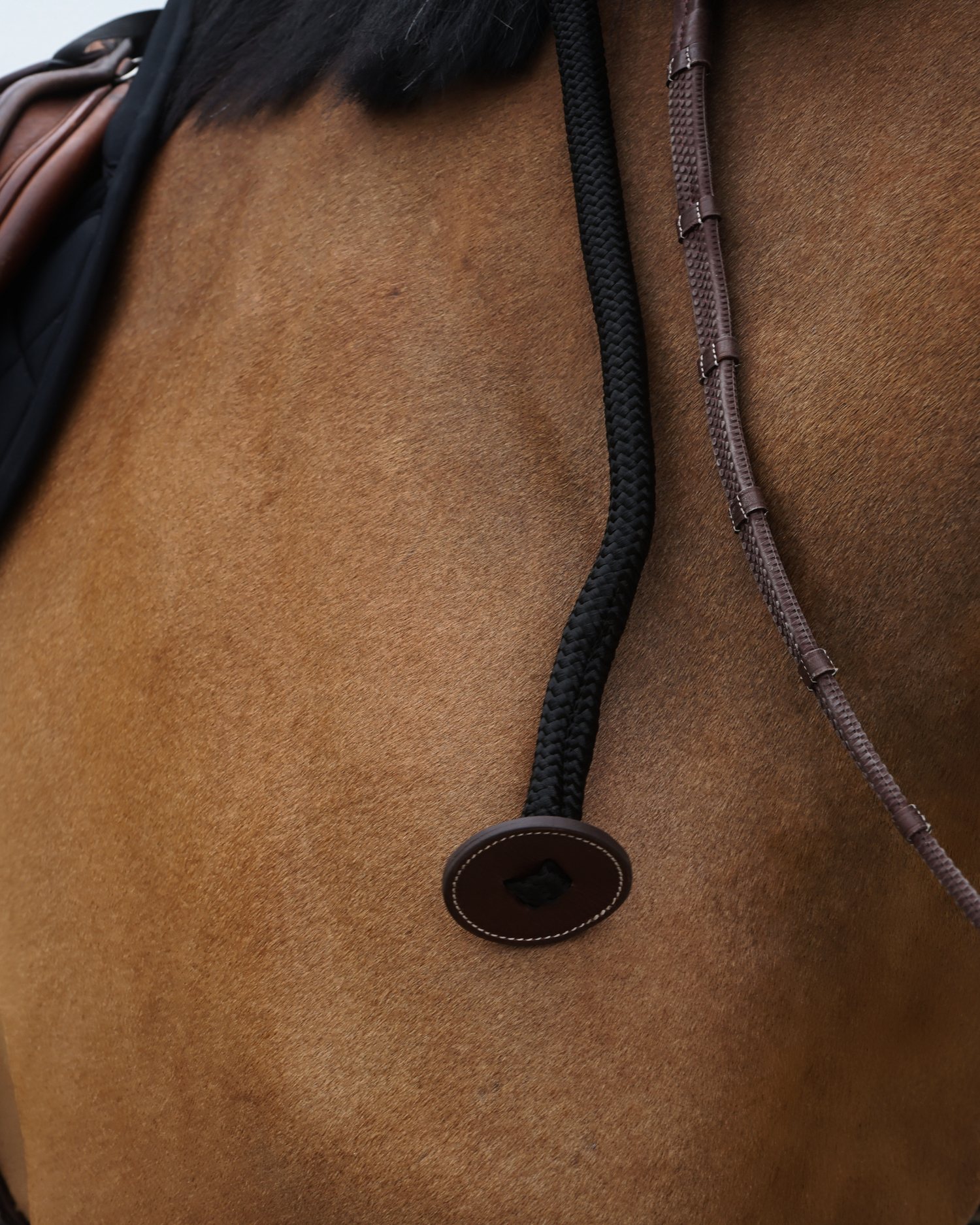 BHOOF LEAD ROPE - LEATHER STOP