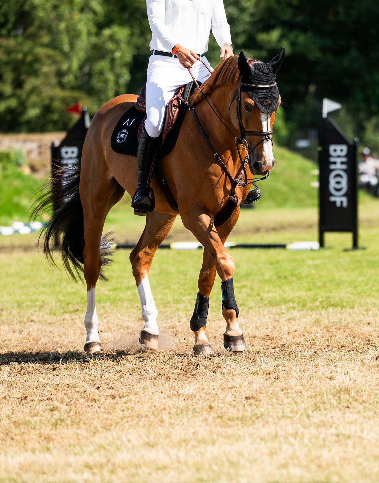A rider in a white equestrian outfit rides a brown horse with white socks and a black blind across an outdoor grassy field. Bhoof branding is visible on black poles in the background.