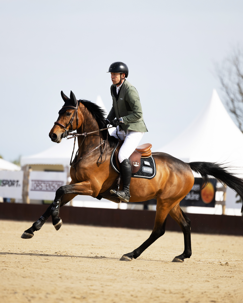 FEI - WBFSH World Breeding Championships
