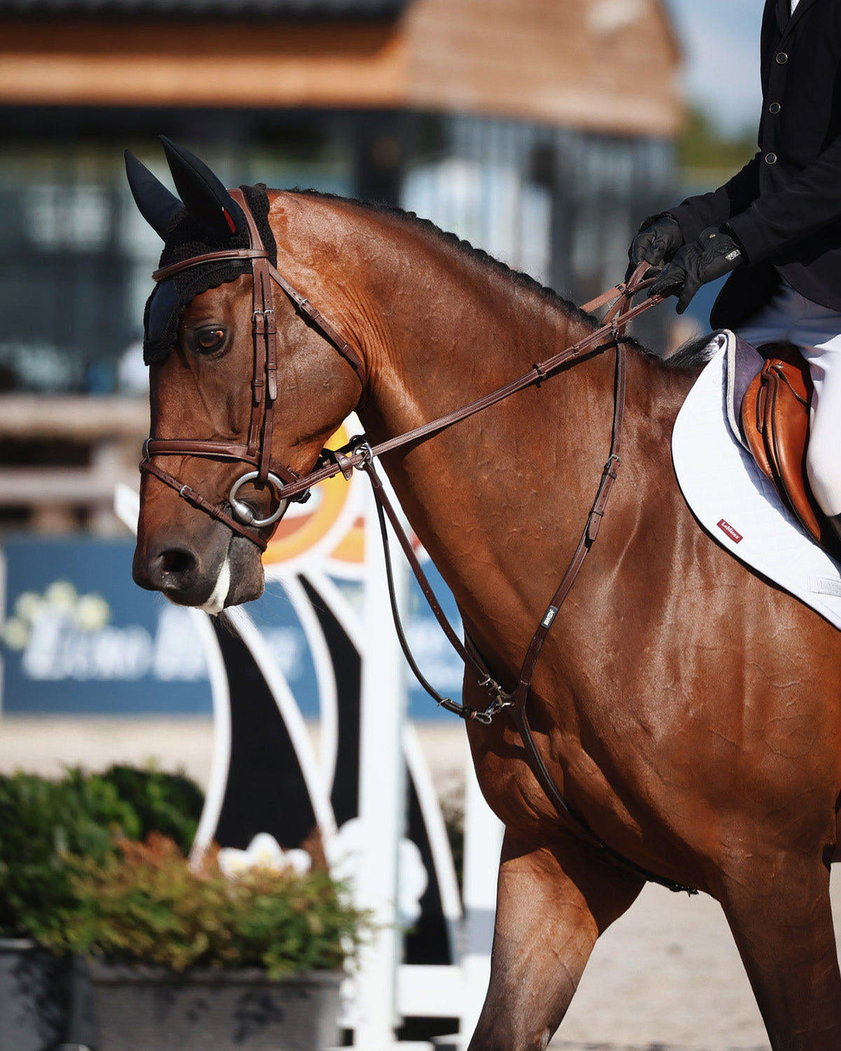 BHOOF MARTINGAL 1 - CLASSIC
