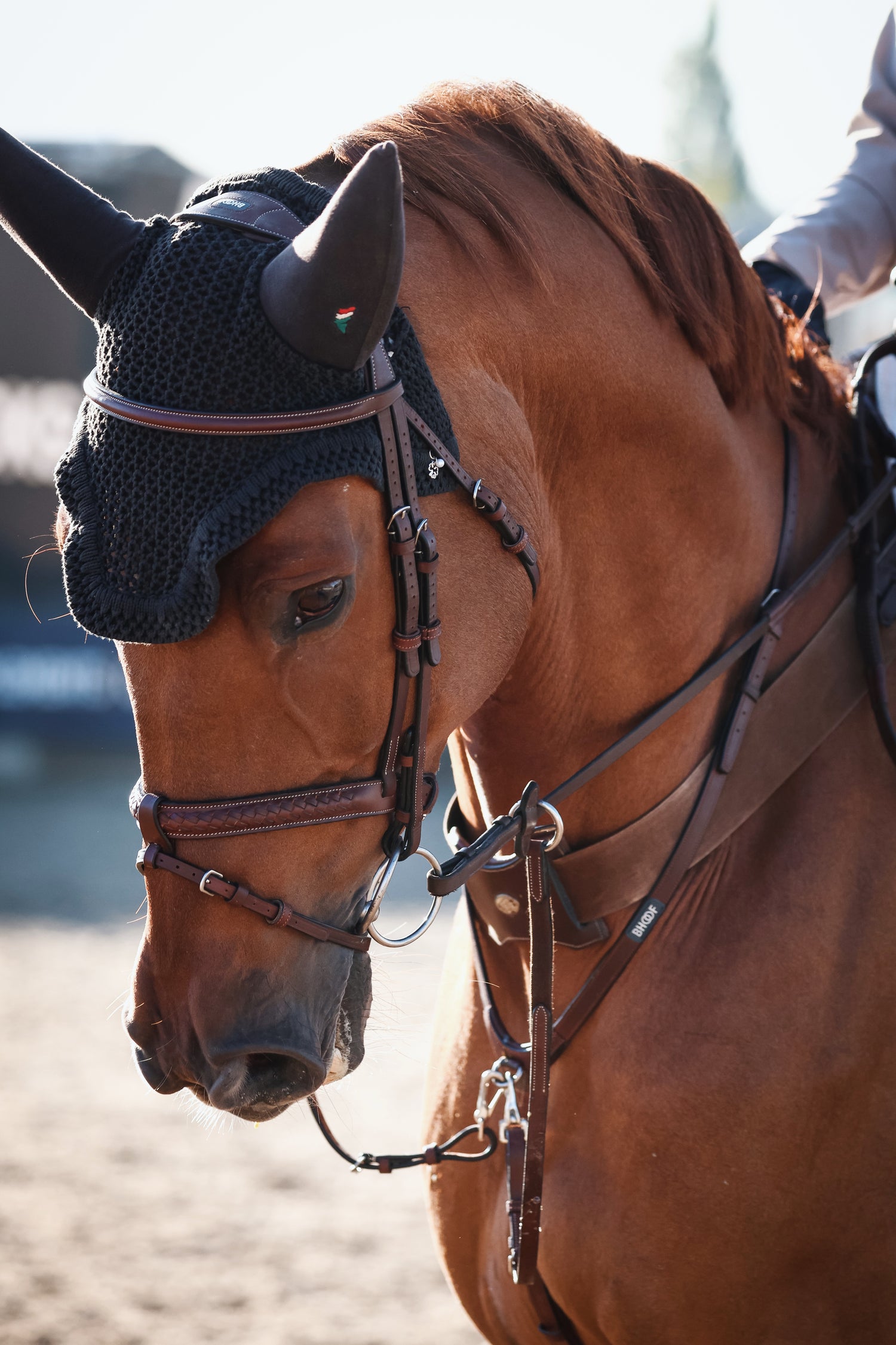 BHOOF BRIDLE 1 - BRAIDED
