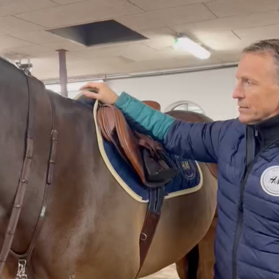 How to fit a Bhoof Martingale