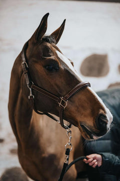 BHOOF HALTER 1-REINS AND PARTS- Lädergrimma Bhoof Halter 1 - Maximal Komfort