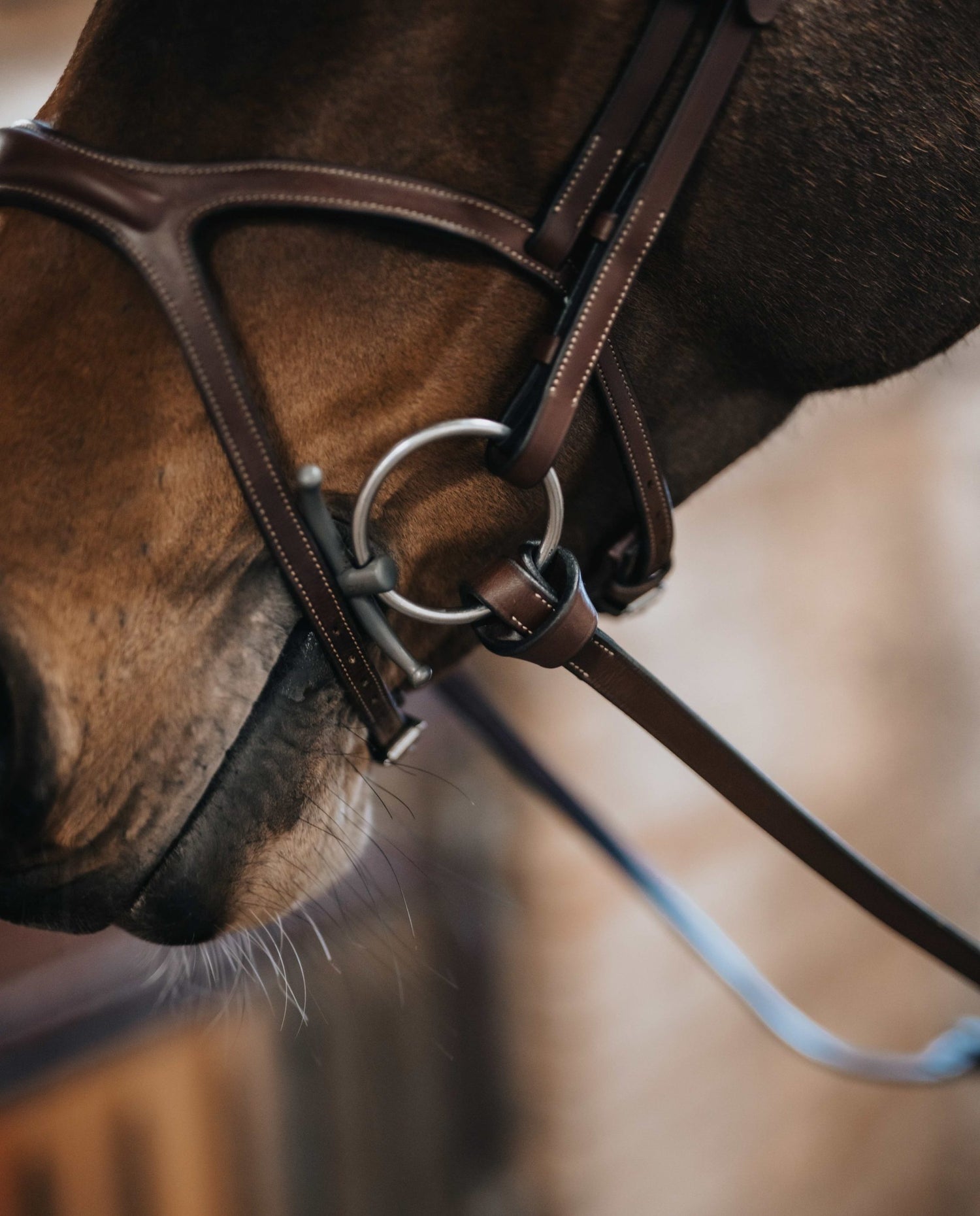 BHOOF SAFETY REIN 1-REINS AND PARTS- Bhoof Säkerhetstygel 1 - Säker, mjuk & flexibel